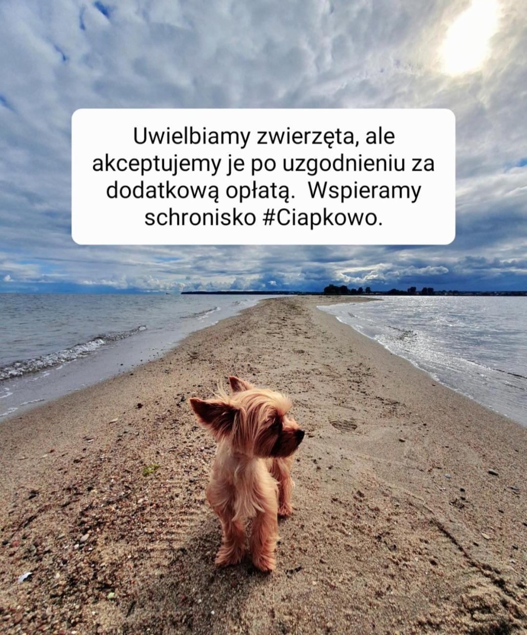 Apartamento Przy Tezni *